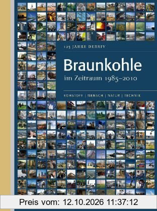 Braunkohle im Zeitraum 1985-2010: 125 Jahre DEBRIV: 125 Jahre Deutscher Braunkohlen-Industrie-Verein e. V. (DEBRIV)