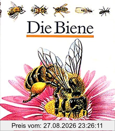 Die Biene