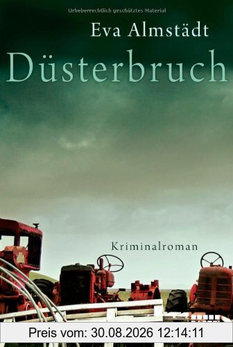 Düsterbruch: Kriminalroman