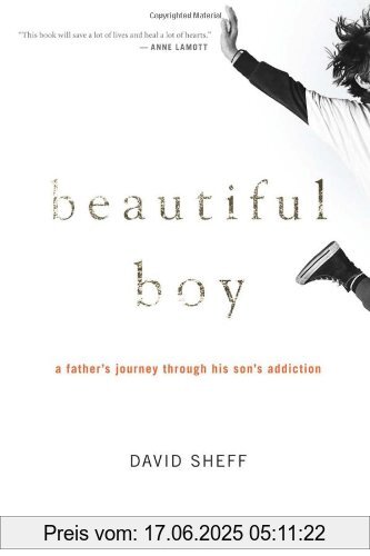 Binding : Gebundene Ausgabe, Label : Houghton Mifflin Harcourt, Publisher : Houghton Mifflin Harcourt, NumberOfItems : 1, medium : Gebundene Ausgabe, numberOfPages : 336, publicationDate : 2008-02-26, authors : David Sheff, languages : english, ISBN : 0618683356