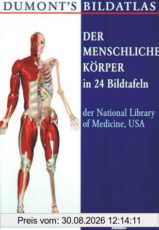 Der menschliche Körper