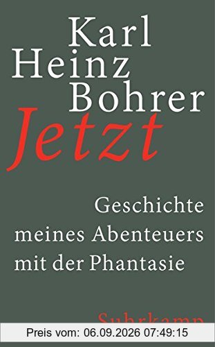 Jetzt: Geschichte meines Abenteuers mit der Phantasie (suhrkamp taschenbuch)