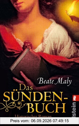 Das Sündenbuch: Historischer Roman