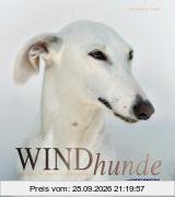 Windhunde: Schnell, Sanft, Liebenswert