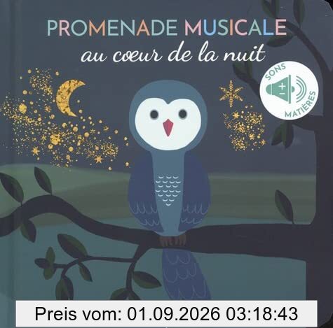 Promenade musicale au coeur de la nuit