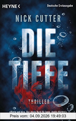 Die Tiefe: Thriller