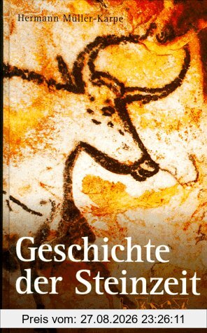 Geschichte der Steinzeit