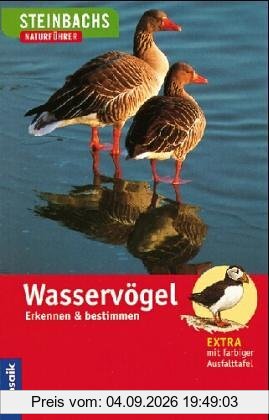 Wasservögel. Erkennen und Bestimmen