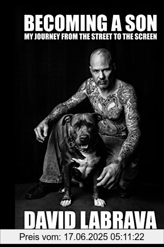 Binding : Taschenbuch, Edition : 1, Label : CreateSpace Independent Publishing Platform, Publisher : CreateSpace Independent Publishing Platform, medium : Taschenbuch, numberOfPages : 370, publicationDate : 2015-12-19, authors : David Labrava, languages : english, ISBN : 1522730796