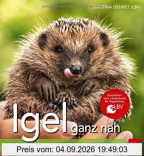 Igel ganz nah: Wie er lebt & wie man ihn schützen kann