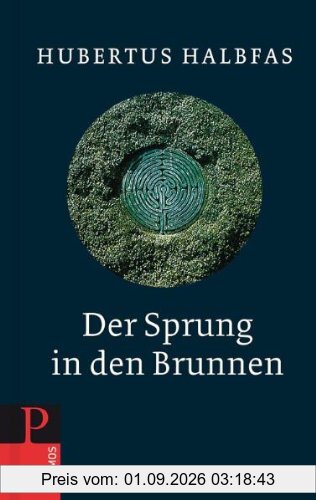 Der Sprung in den Brunnen: Eine Gebetsschule