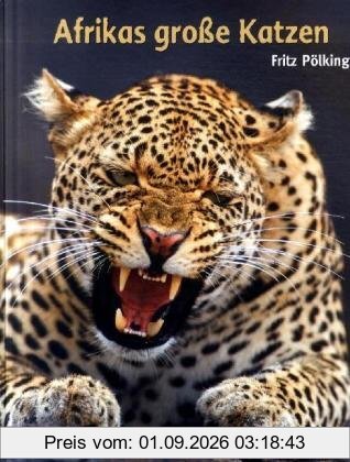 Afrikas grosse Katzen: Gepard, Löwe, Leopard
