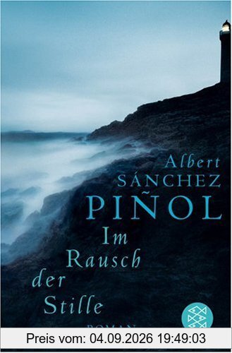 Im Rausch der Stille: Roman