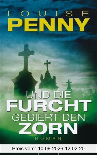 Und die Furcht gebiert den Zorn: Roman
