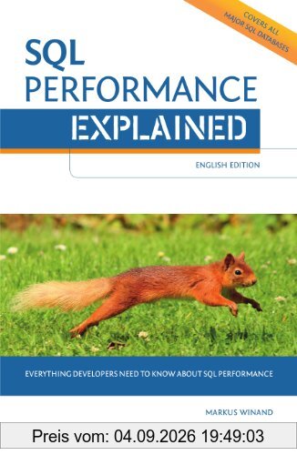 SQL Performance Explained: Everything developers need to know about SQL performance
