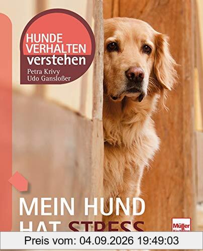 Mein Hund hat Stress