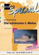 Aqualog, Die schönsten L-Welse