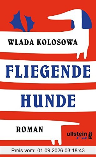 Fliegende Hunde: Roman