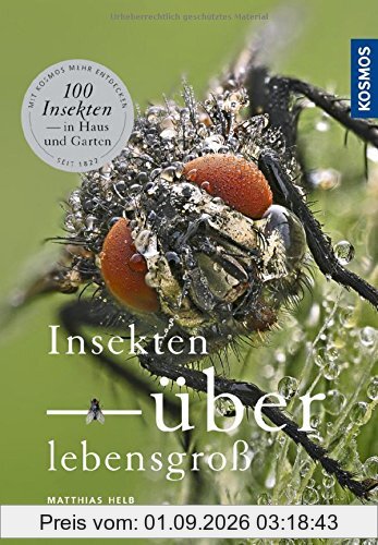Insekten überlebensgroß