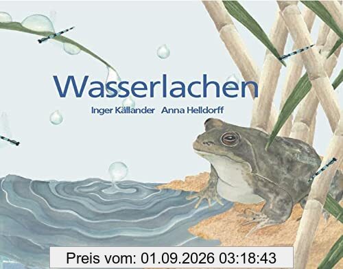 Wasserlachen (Unsichtbare Wunder)