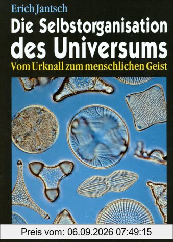 Die Selbstorganisation des Universums: Vom Urknall zum menschlichen Geist