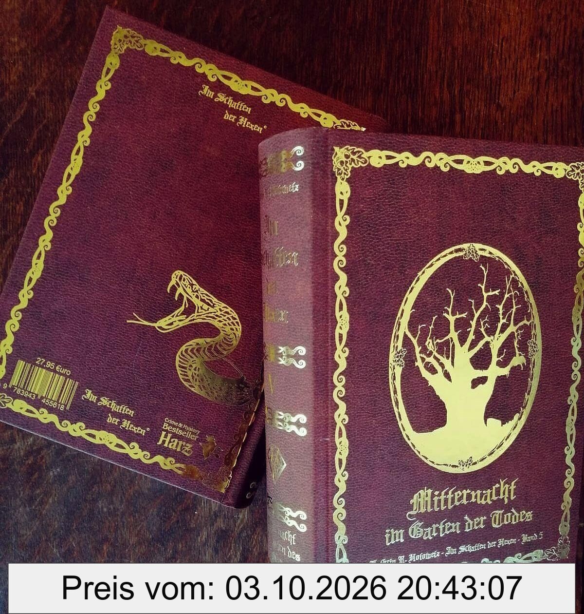 Im Schatten der Hexen V