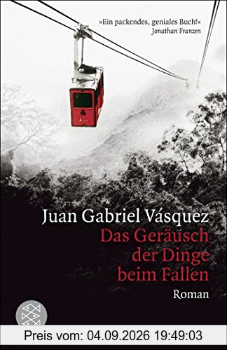 Das Geräusch der Dinge beim Fallen: Roman