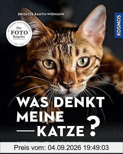 Was denkt meine Katze: Katzenverhalten auf einen Blick