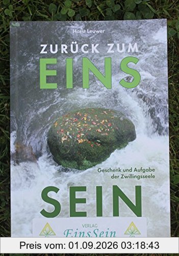 Zurück zum EinsSein: Geschenk und Aufgabe der Zwillingsseele
