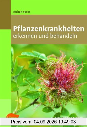 Pflanzenkrankheiten: Erkennen und behandeln