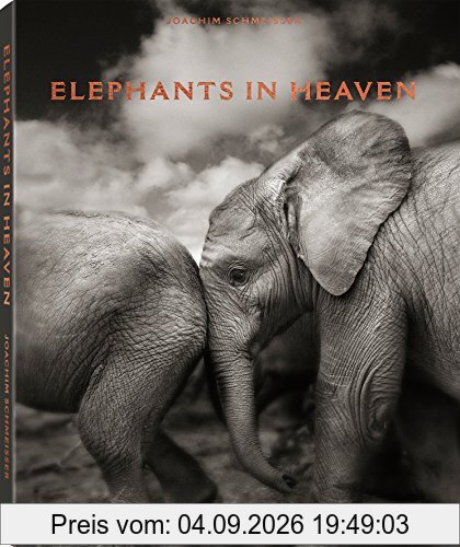 Elephants in heaven