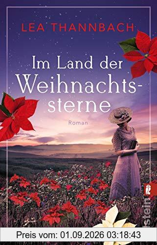 Im Land der Weihnachtssterne: Roman (Die Weihnachtsstern-Saga, Band 1)