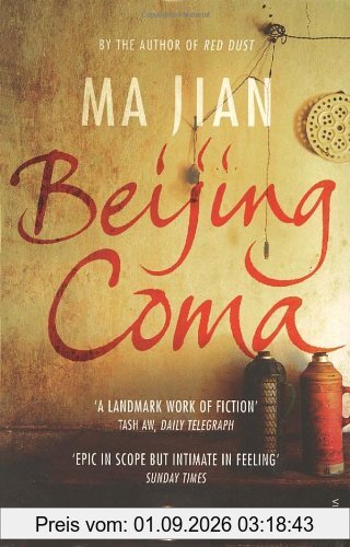 Beijing Coma