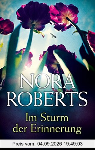 Im Sturm der Erinnerung: Roman