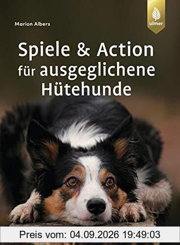 Spiele und Action für ausgeglichene Hütehunde: Border Collie, Australian Shepherd und Co. rassegerecht auslasten