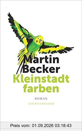 Kleinstadtfarben: Roman