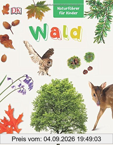 Naturführer für Kinder. Wald