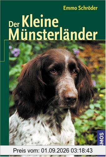 Der Kleine Münsterländer