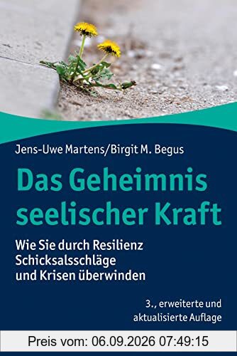 Das Geheimnis seelischer Kraft: Wie Sie durch Resilienz Schicksalsschläge und Krisen überwinden