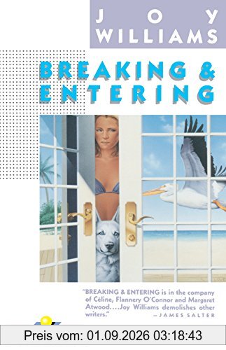 Breaking & Entering (Vintage Contemporaries)