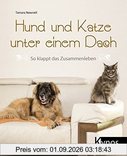 Hund und Katze unter einem Dach: So klappt das Zusammenleben