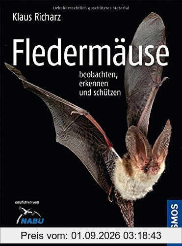 Fledermäuse beobachten, erkennen und schützen