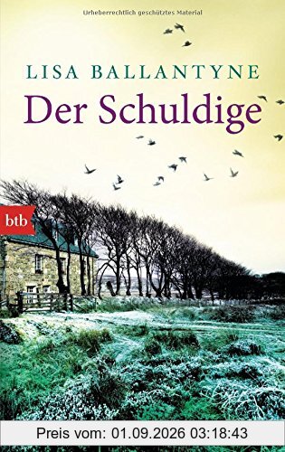 Der Schuldige: Roman