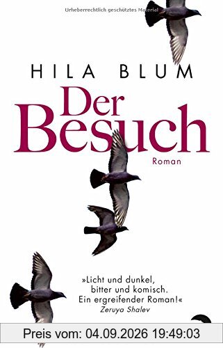 Der Besuch: Roman