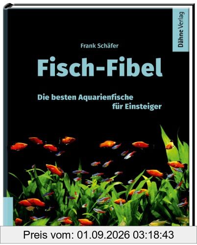 Fisch-Fibel: Die besten Aquarienfische für Einsteiger