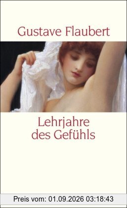 Lehrjahre des Gefühls: Geschichte eines jungen Mannes. Roman (insel taschenbuch)