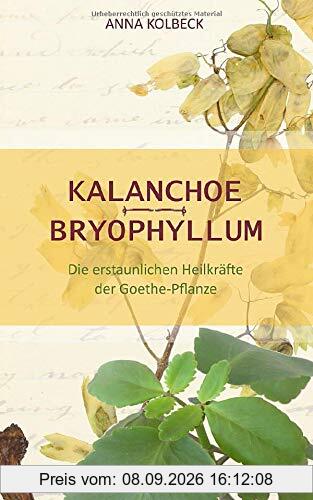 Kalanchoe - Bryophyllum: Die erstaunlichen Heilkräfte der Goethe-Pflanze