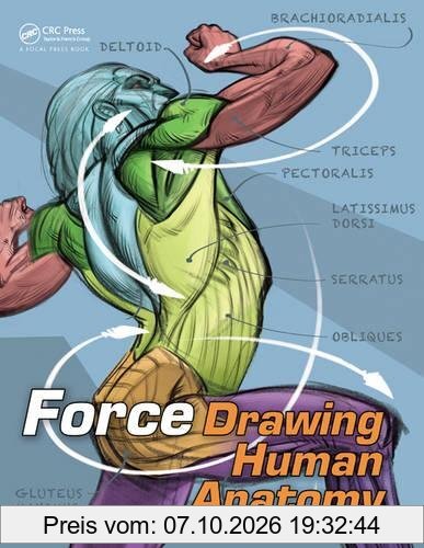 FORCE: Drawing Human Anatomy