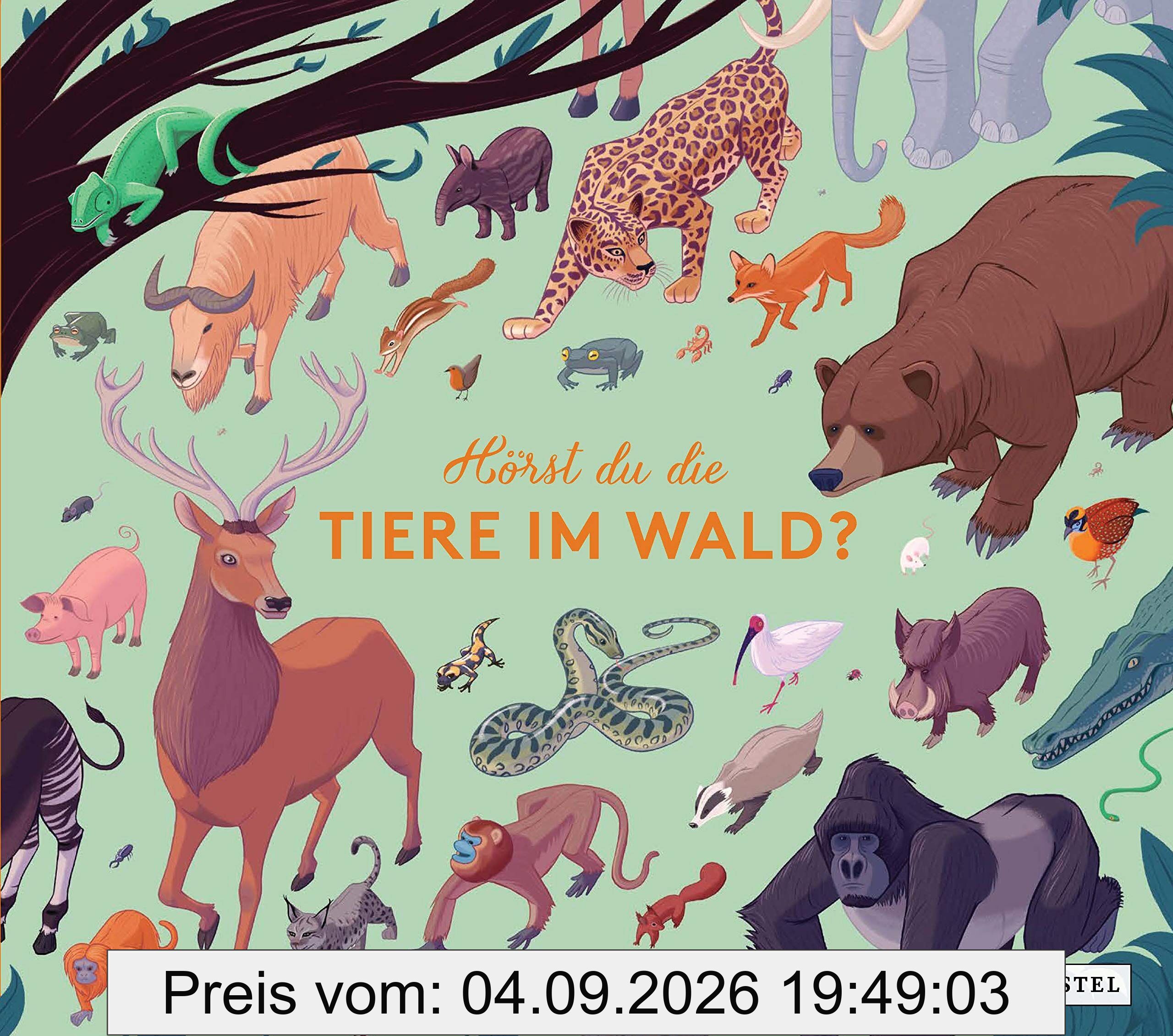 Hörst du die Tiere im Wald?