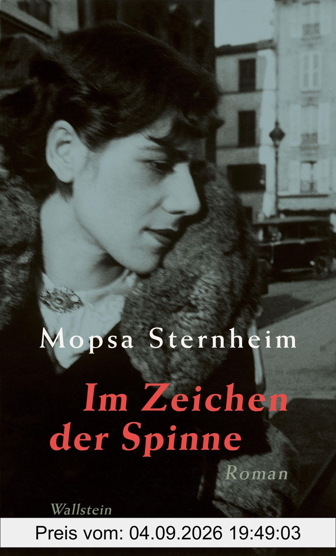 Im Zeichen der Spinne: Roman